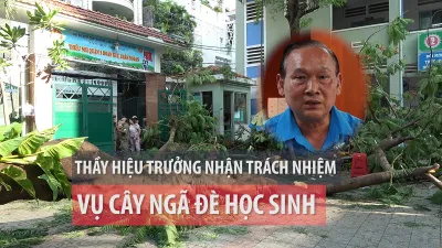 Họp báo vụ cây phượng bật gốc làm 1 học sinh tử vong
