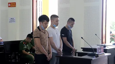 Nghệ An: Giấu ma túy dưới cột điện, ba thanh niên bị kết án tù