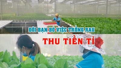 Độc đáo vườn rau thủy canh của đôi bạn Tuấn - Ngọc