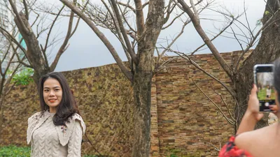 Video: Hàng cây sưa vàng rụng lá thu hút giới trẻ Đà Nẵng