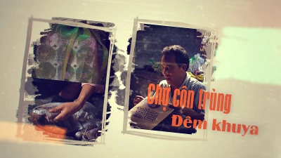 Mưu sinh 0 giờ: Chợ côn trùng giữa đêm khuya Sài Gòn