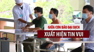 Video: Giữa cơn bão đại dịch, xuất hiện tin vui 