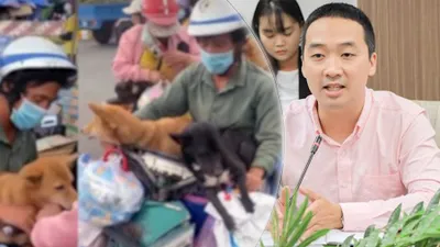 Video: Lý, tình trong vụ tiêu hủy 13 chú chó ở Cà Mau 