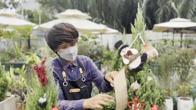 Video: ‘Bản sao’ cây thông Noel đắt hàng dịp Giáng sinh