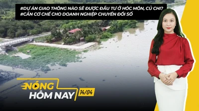 Nóng hôm nay: PLO sẽ đăng loạt bài điều tra 'Công an Phường lập chốt bắt xe trên tỉnh lộ' từ hôm nay