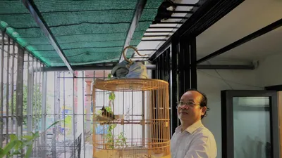 Video: Bác sĩ nha khoa bảo tồn chim chào mào đột biến