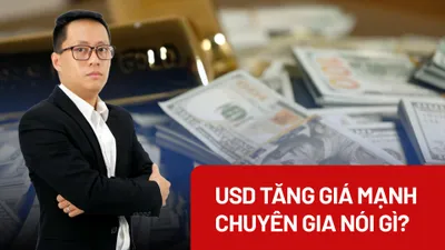 Video: USD tăng giá mạnh, chuyên gia nói gì?