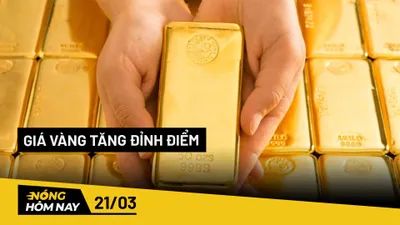 Nóng hôm nay: Bị phạt 64 triệu đồng vì nuôi chó gây ô nhiễm môi trường