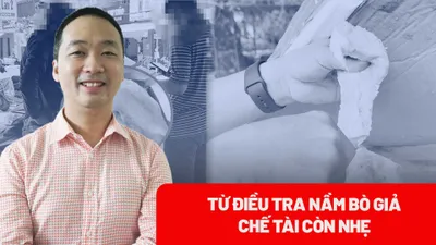 Từ điều tra biến vú heo thành nầm bò: Chuyên gia góp ý về chế tài xử phạt