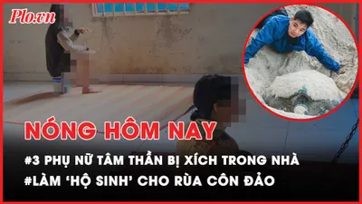 Nóng hôm nay: Khởi công và tái khởi động 2 cây cầu phía Nam TP.HCM