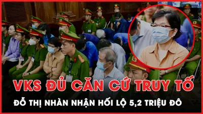 VKS đủ căn cứ truy tố bà Đỗ Thị Nhàn nhận hối lộ 5,2 triệu đô