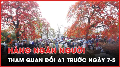 Hàng ngàn người tham quan Đồi A1 trước ngày đại lễ chiến thắng Điện Biên Phủ