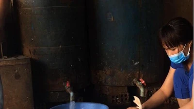 TP.HCM yêu cầu xử lý dứt điểm nơi giết mổ gia cầm trái phép