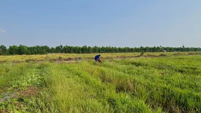 Nắng nóng gay gắt sẽ tiếp tục kéo dài ở Nam bộ