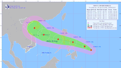 TP.HCM chuẩn bị ứng phó với bão số 10
