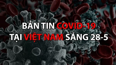 Video: Bản tin dịch COVID-19 tại Việt Nam sáng 28-5