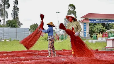 Đồng Tháp khôi phục chợ chiếu đêm bằng tour du lịch ‘chợ ma Định Yên’ 