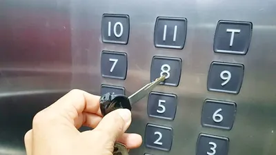 Những chiêu độc, lạ ứng phó trong mùa dịch COVID-19