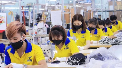 Công nhân làm việc tại một công ty may ở TP.HCM. Ảnh: NGUYỆT NHI