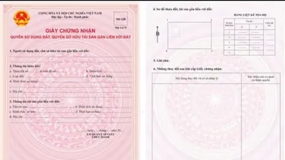 Giấy chứng nhận đã cấp trước ngày 1-8-2024 vẫn có giá trị pháp lý và không phải cấp đổi sổ hồng sang mẫu mới. Ảnh minh họa