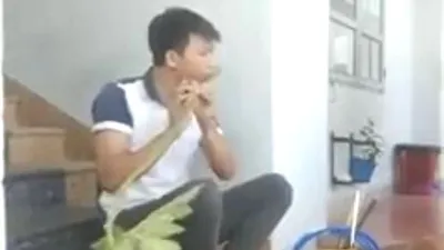 Despacito phiên bản... 'lá đu đủ'