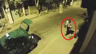 Camera ghi cảnh taxi trộm cây cảnh trong đêm