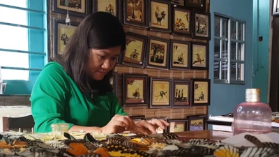 Người phụ nữ nuôi bướm để vẽ tranh ở Lâm Đồng