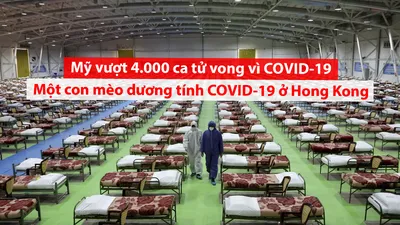 Video: Cập nhật đại dịch COVID-19 đến chiều 1-4