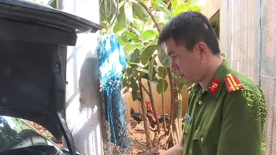 Phát hiện vụ vận chuyển gần 15.000 gói thuốc lá lậu