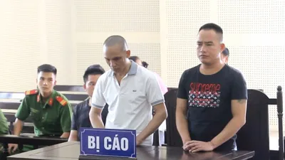 Đôi bạn nghiện đi buôn ma túy nhận mức án 20 năm tù