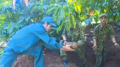 Video: Phát hiện 180 quả đạn pháo trong rẫy cà phê