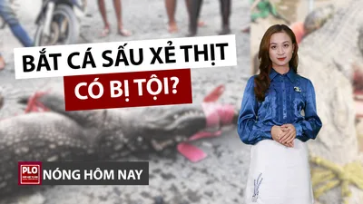 Nóng hôm nay 29-4: Đằng sau việc bắt cá sấu xẻ thịt