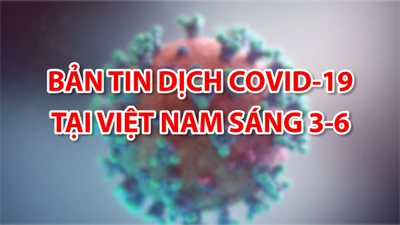 Video: Bản tin dịch COVID-19 tại Việt Nam sáng 3-6