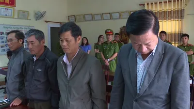 Video: Để mất rừng, Giám đốc và 8 cán bộ bị truy tố