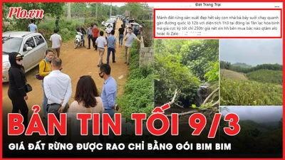 Bản tin tối 9-3: Rao bán đất rừng sản xuất, mỗi m2 giá bằng gói bim bim