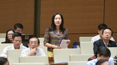 Video: Quốc hội chất vấn Nhóm lĩnh vực Kinh tế tổng hợp