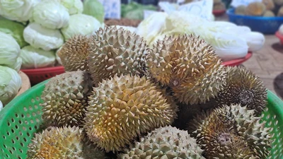 Sầu riêng Thái Lan mini giá rẻ về chợ Việt