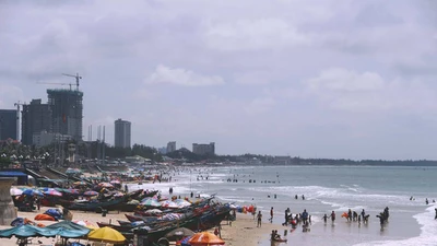 Con ghẹ ở Vũng Tàu giá... 700.000 đồng