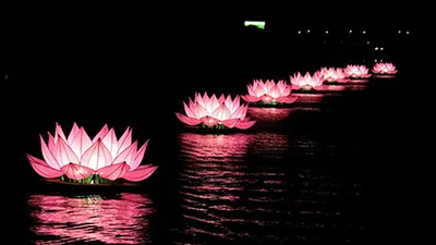 Thắp sáng 7 bông hoa sen trên sông Hương mở đầu mùa Phật Đản