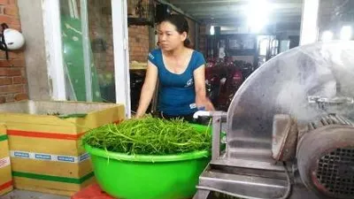 TP.HCM: Lại phát hiện cơ sở ngâm rau bằng hóa chất
