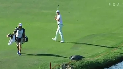 Nhầm tưởng cá sấu là… tảng đá, golf thủ hoảng hồn