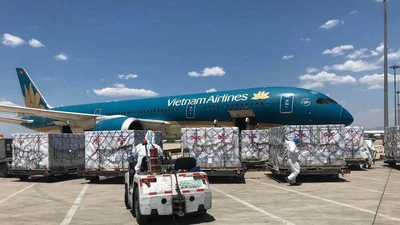 500.000 liều vaccine Trung Quốc viện trợ đã về Việt Nam