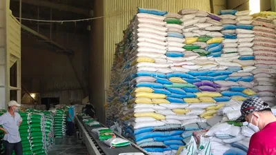 Kiều bào hiến kế đưa hàng Việt ra thế giới 