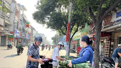 Lá dong gói bánh chưng đắt hàng ngày Tết