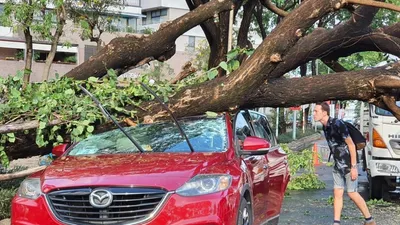 TP.HCM: Mưa to gió lớn, cây đổ đè trúng ô tô, người