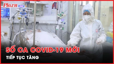 Nóng hôm nay: Hàng trăm cây xăng ở Bình Dương đóng cửa