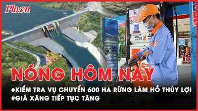 Nóng hôm nay: Bộ NN&PTNT vào Bình Thuận kiểm tra vụ chuyển hơn 600 ha rừng làm hồ thuỷ lợi