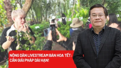 Nông dân miền Tây livestream bán hoa Tết: Cần giải pháp dài hạn!