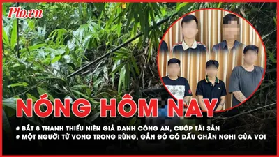 Nóng hôm nay: Bắt 8 thanh thiếu niên giả danh công an để cướp tài sản; Phát hiện người đàn ông tử vong trong rừng, xung quanh có dấu chân nghi của voi
