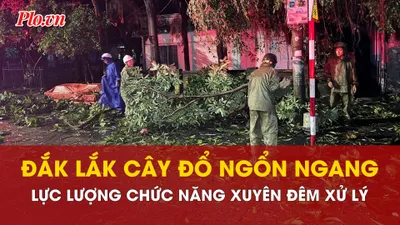 Cây đổ la liệt sau bão số 13, lực lượng chức năng Đắk Lắk xuyên đêm xử lý 